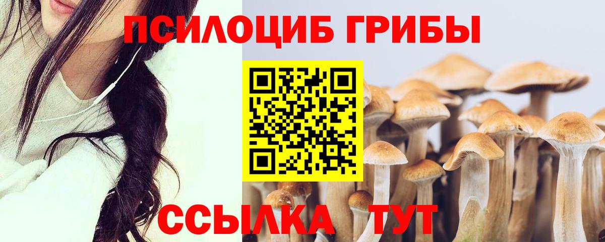Псилоцибиновые грибы ЛСД  закладки  Вход с VPN  Чебоксары  Псилоцибиновые грибы GOLDEN TEACHER 