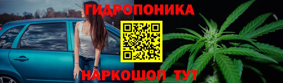 Шишки марихуана SATIVA & INDICA  Вход с VPN  Канабис семена  Чебоксары  Конопля планчик  Каннабис Bruce Banner 
